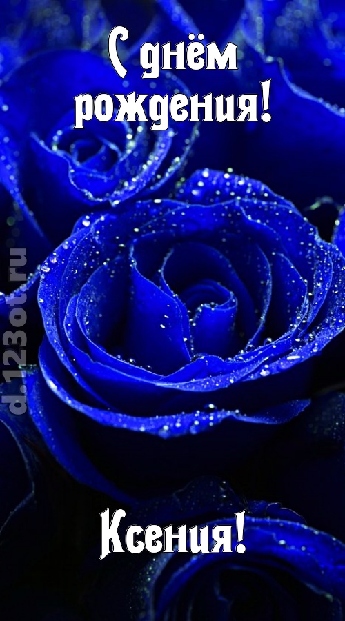 неуловимая открытка с днём рождения ксения, скачать онлайн бесплатно на iphone для вацап, поздравление ксения