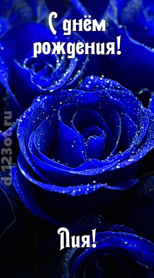неуловимая открытка с днём рождения лия, скачать онлайн бесплатно на iphone для вацап, поздравление лия