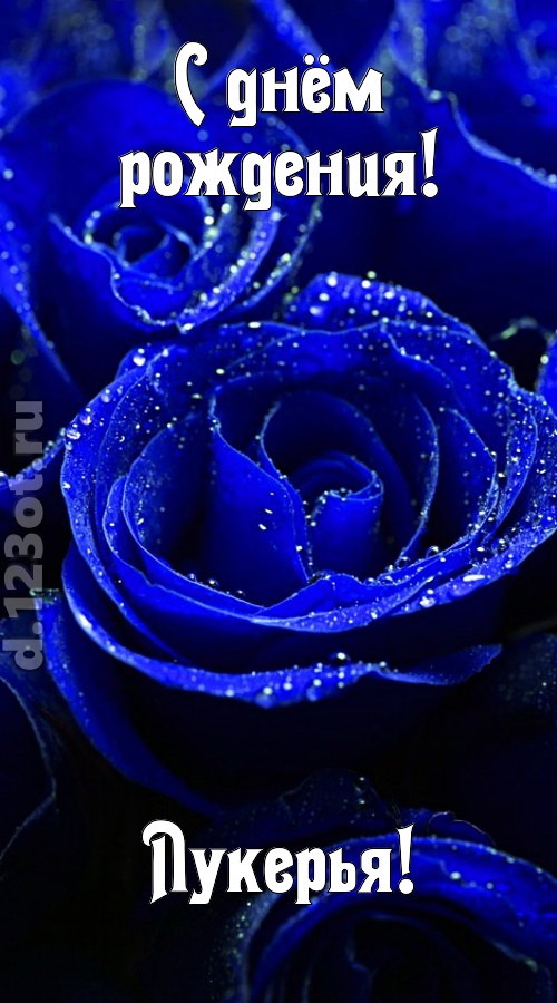 неуловимая открытка с днём рождения лукерья, скачать онлайн бесплатно на iphone для вацап, поздравление лукерья