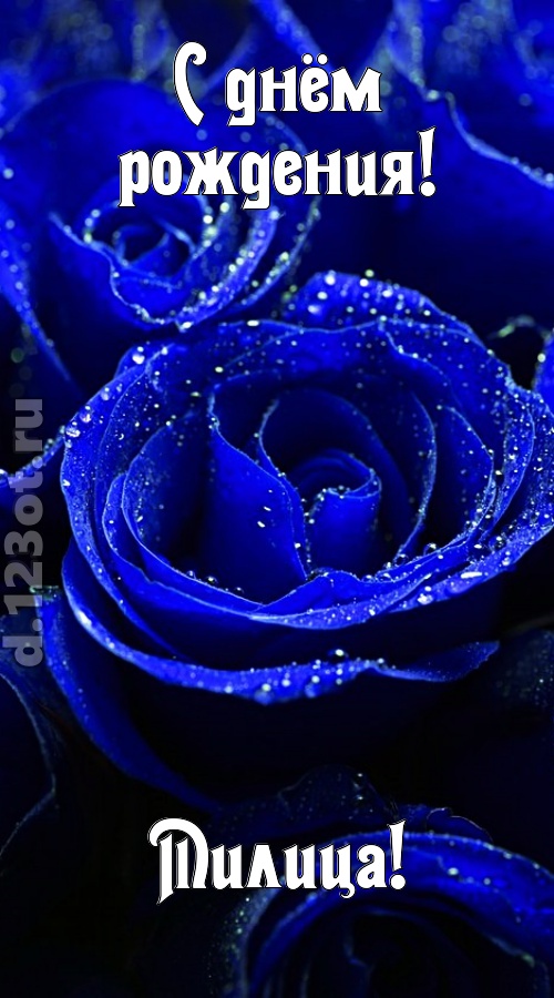 неуловимая открытка с днём рождения милица, скачать онлайн бесплатно на iphone для вацап, поздравление милица