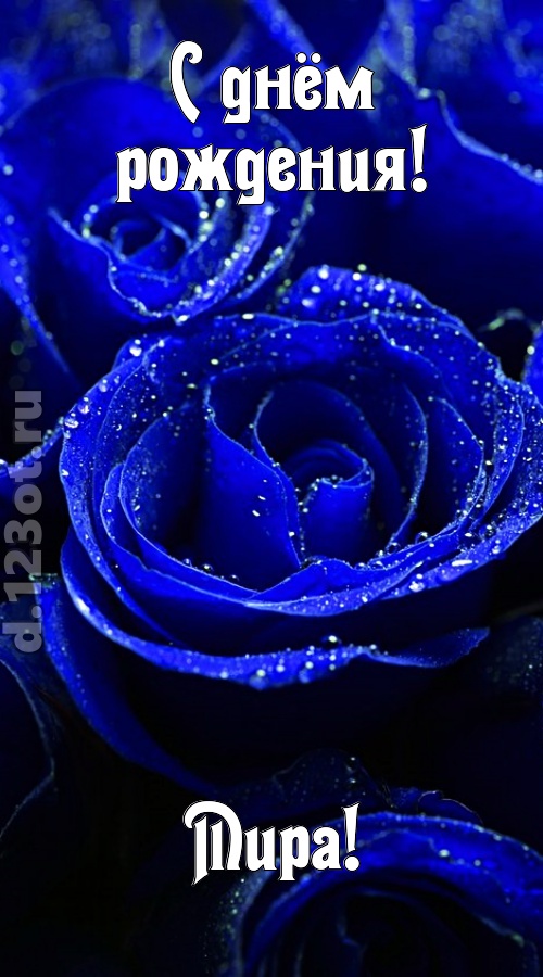 неуловимая открытка с днём рождения мира, скачать онлайн бесплатно на iphone для вацап, поздравление мира