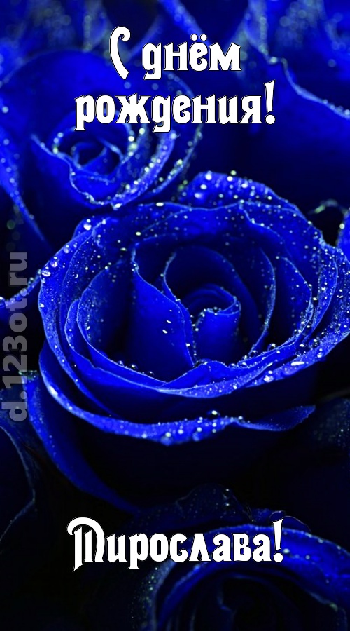 неуловимая открытка с днём рождения мирослава, скачать онлайн бесплатно на iphone для вацап, поздравление мирослава