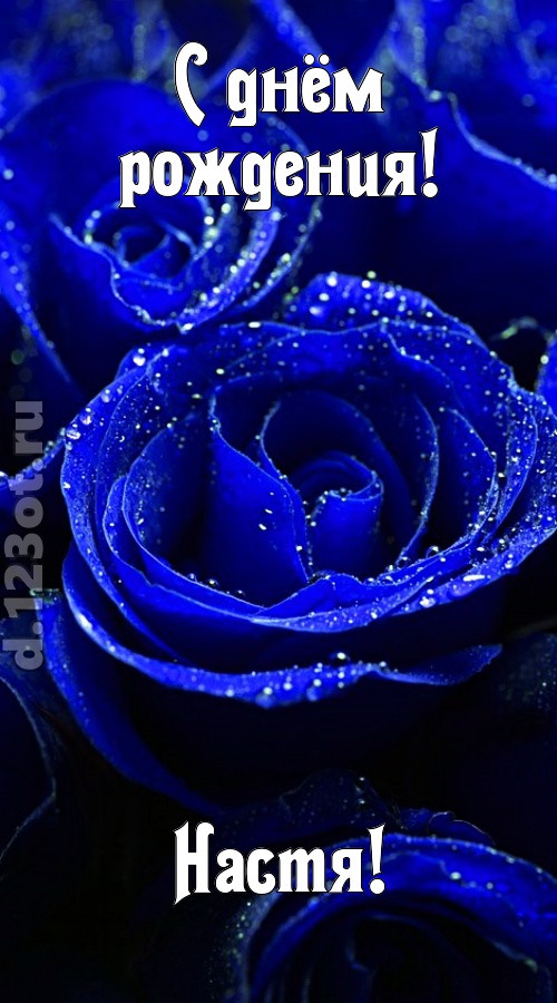 неуловимая открытка с днём рождения настя, скачать онлайн бесплатно на iphone для вацап, поздравление настя
