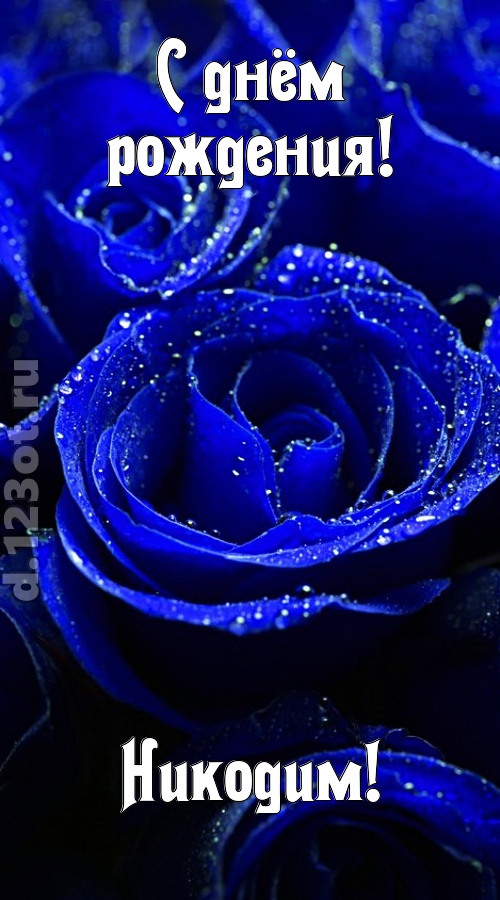 неуловимая открытка с днём рождения никодим, скачать онлайн бесплатно на iphone для вацап, поздравление никодим