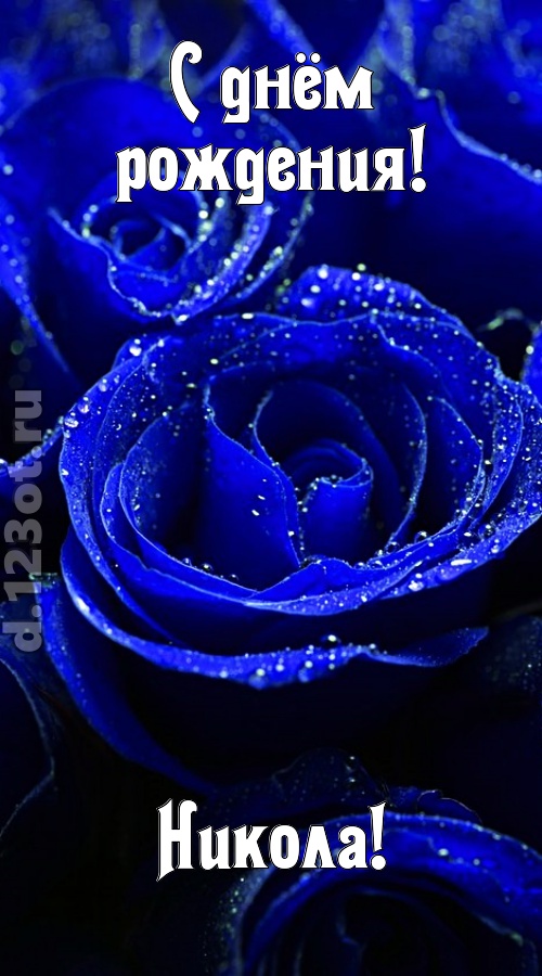 неуловимая открытка с днём рождения никола, скачать онлайн бесплатно на iphone для вацап, поздравление никола