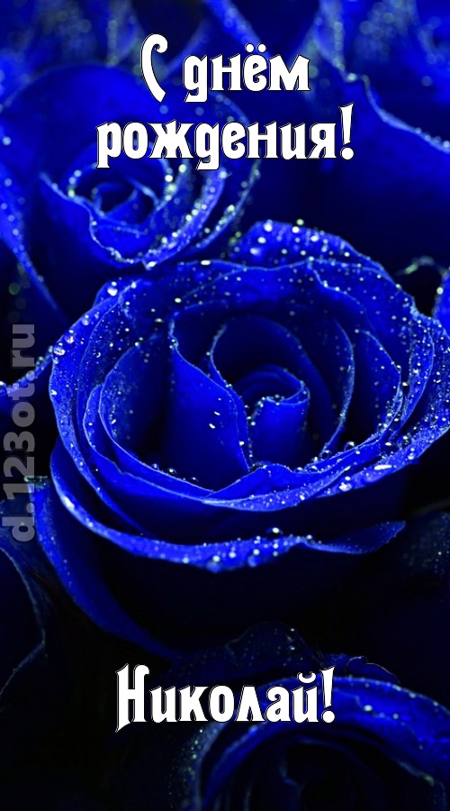 неуловимая открытка с днём рождения николай, скачать онлайн бесплатно на iphone для вацап, поздравление николай