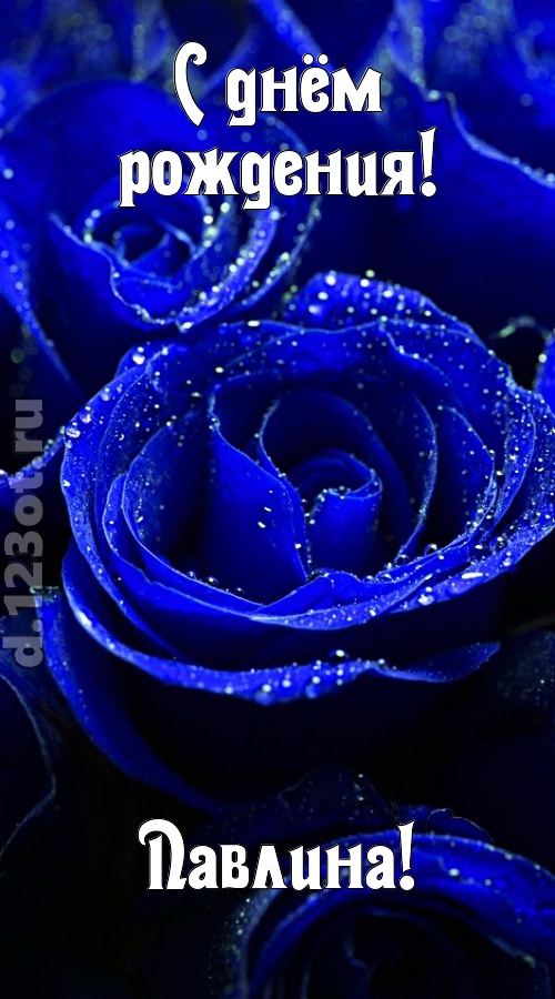 неуловимая открытка с днём рождения павлина, скачать онлайн бесплатно на iphone для вацап, поздравление павлина