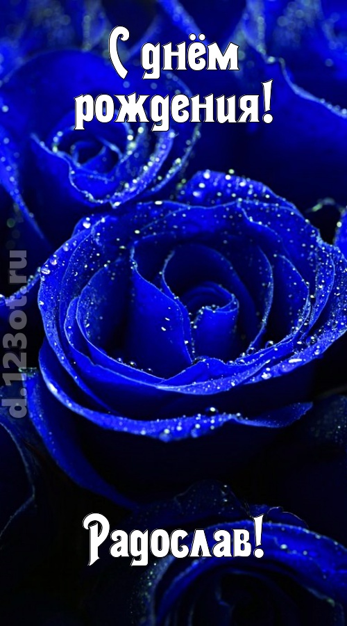 неуловимая открытка с днём рождения радослав, скачать онлайн бесплатно на iphone для вацап, поздравление радослав