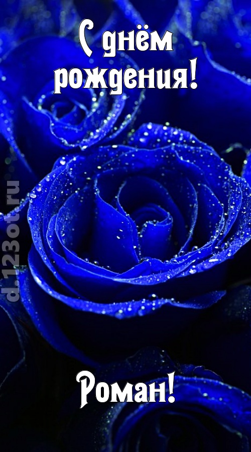 неуловимая открытка с днём рождения роман, скачать онлайн бесплатно на iphone для вацап, поздравление роман