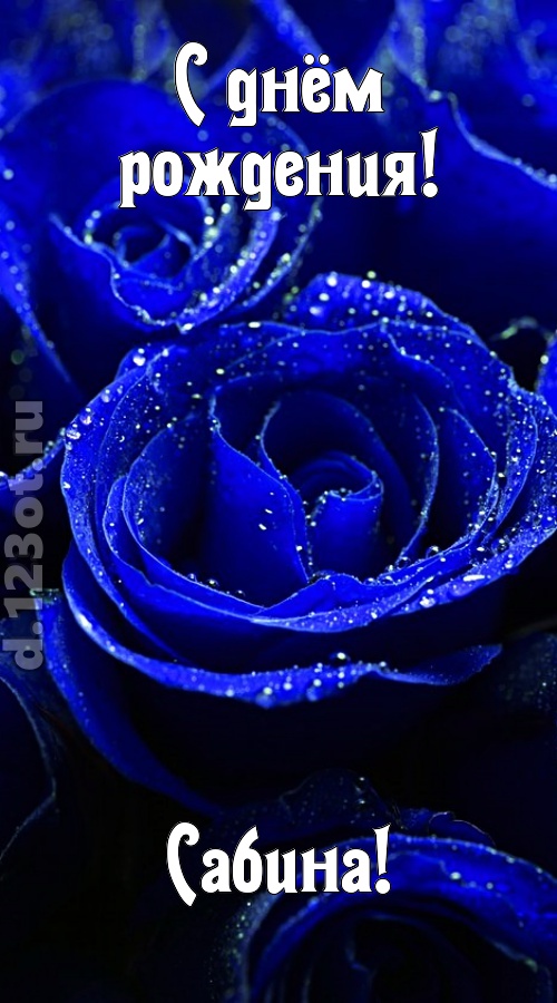 неуловимая открытка с днём рождения сабина, скачать онлайн бесплатно на iphone для вацап, поздравление сабина