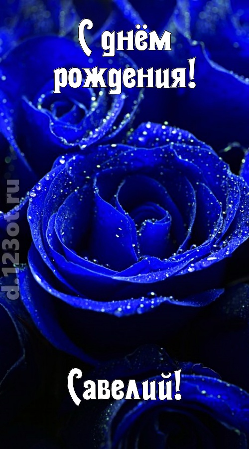 неуловимая открытка с днём рождения савелий, скачать онлайн бесплатно на iphone для вацап, поздравление савелий