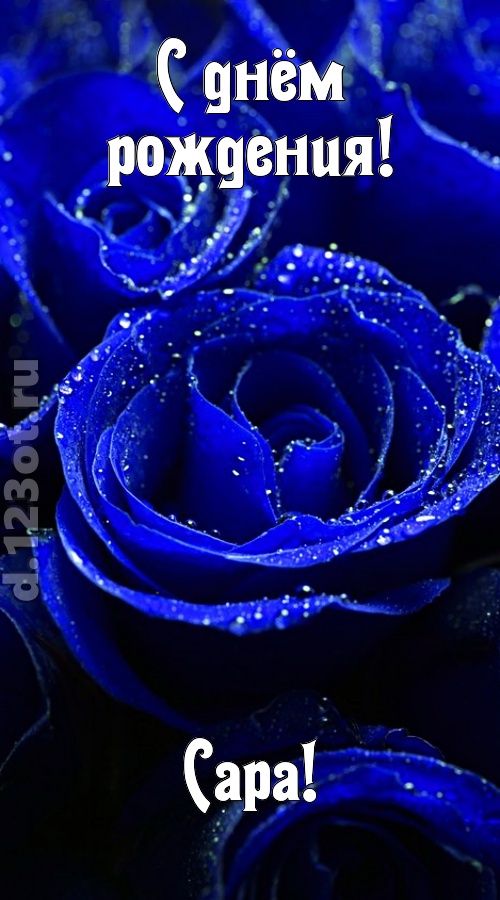 неуловимая открытка с днём рождения сара, скачать онлайн бесплатно на iphone для вацап, поздравление сара