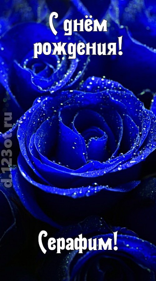 неуловимая открытка с днём рождения серафим, скачать онлайн бесплатно на iphone для вацап, поздравление серафим
