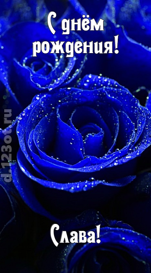 неуловимая открытка с днём рождения слава, скачать онлайн бесплатно на iphone для вацап, поздравление слава
