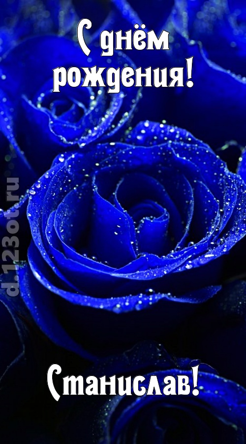 неуловимая открытка с днём рождения станислав, скачать онлайн бесплатно на iphone для вацап, поздравление станислав