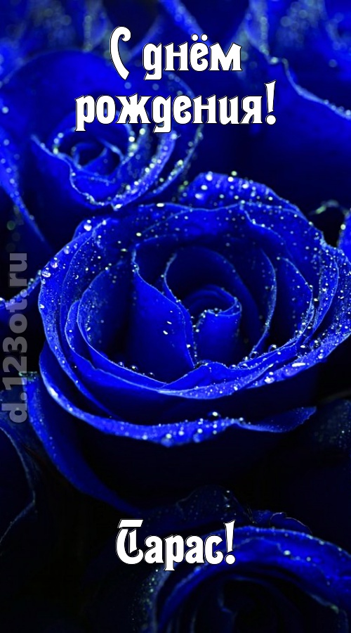 неуловимая открытка с днём рождения тарас, скачать онлайн бесплатно на iphone для вацап, поздравление тарас