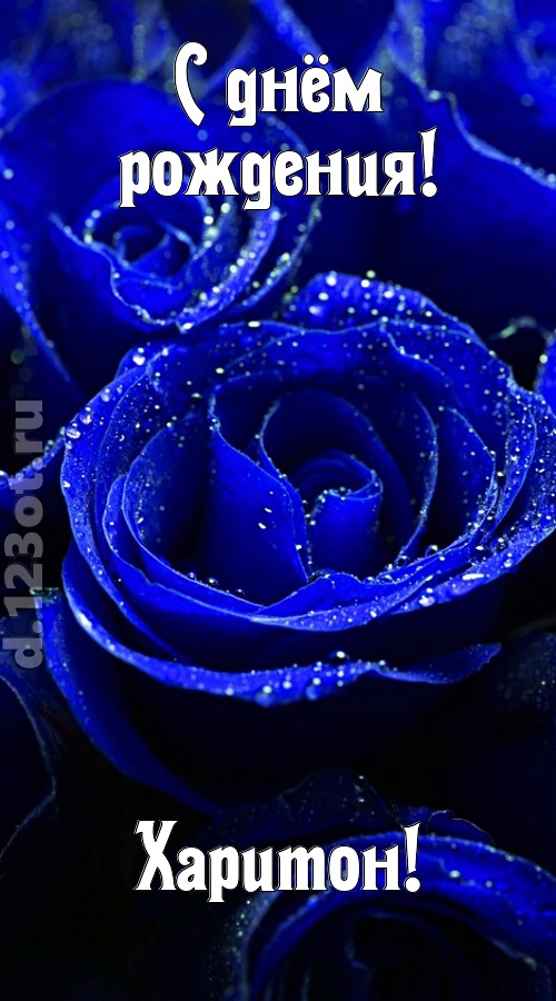 неуловимая открытка с днём рождения харитон, скачать онлайн бесплатно на iphone для вацап, поздравление харитон