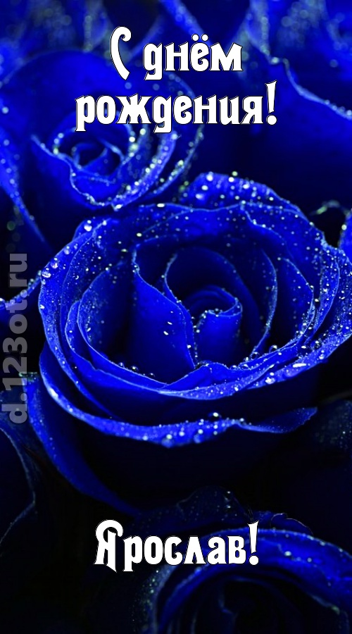 неуловимая открытка с днём рождения ярослав, скачать онлайн бесплатно на iphone для вацап, поздравление ярослав