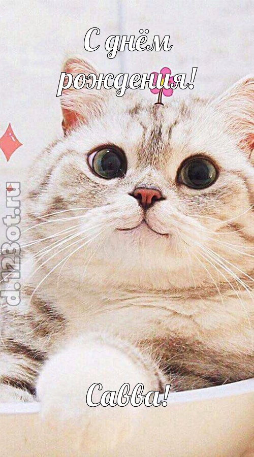 блаженная открытка с днём рождения савва, скачать онлайн бесплатно на iphone для вацап, поздравление савва