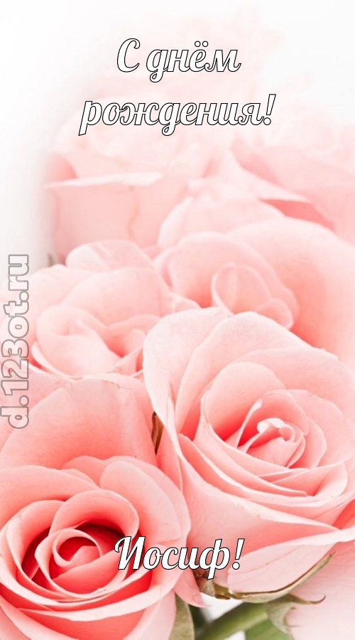 обаятельная открытка с днём рождения иосиф, скачать онлайн бесплатно на iphone для вацап, поздравление иосиф