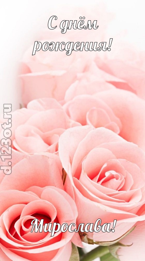 обаятельная открытка с днём рождения мирослава, скачать онлайн бесплатно на iphone для вацап, поздравление мирослава