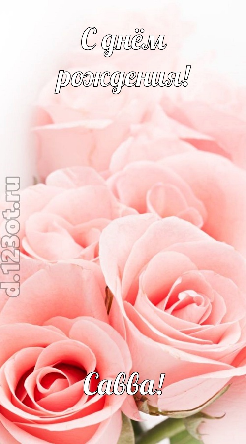 обаятельная открытка с днём рождения савва, скачать онлайн бесплатно на iphone для вацап, поздравление савва