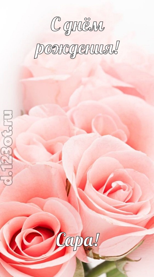 обаятельная открытка с днём рождения сара, скачать онлайн бесплатно на iphone для вацап, поздравление сара