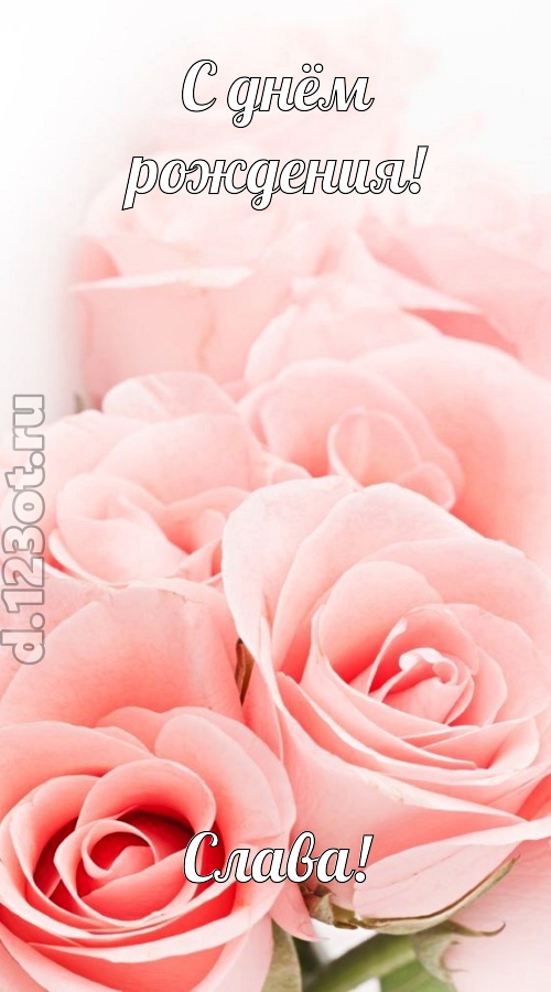 обаятельная открытка с днём рождения слава, скачать онлайн бесплатно на iphone для вацап, поздравление слава