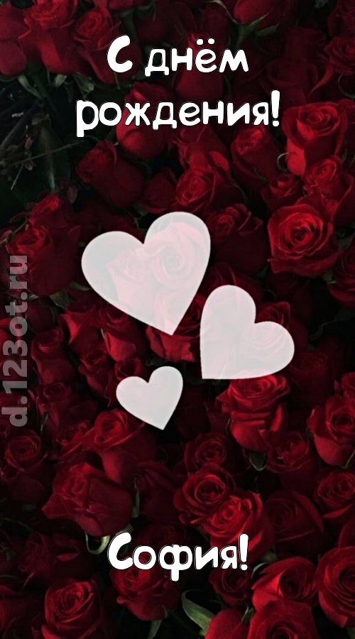 обворожительная открытка с днём рождения софия, скачать онлайн бесплатно на iphone для вацап, поздравление софия