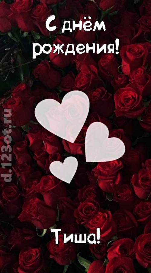 обворожительная открытка с днём рождения тиша, скачать онлайн бесплатно на iphone для вацап, поздравление тиша