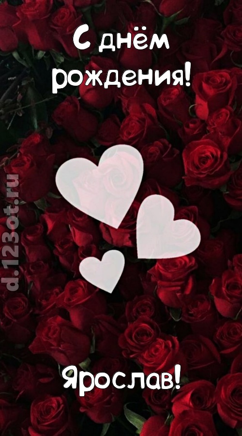 обворожительная открытка с днём рождения ярослав, скачать онлайн бесплатно на iphone для вацап, поздравление ярослав