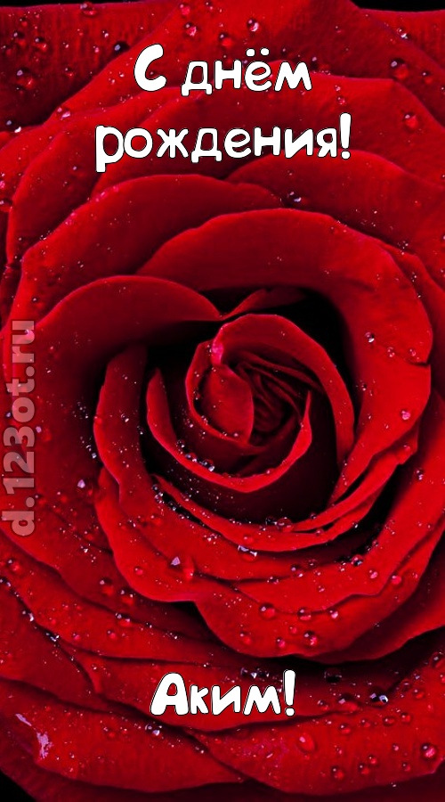 обольстительная открытка с днём рождения аким, скачать онлайн бесплатно на iphone для вацап, поздравление аким