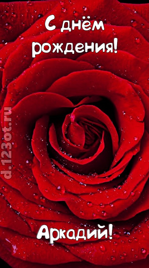 обольстительная открытка с днём рождения аркадий, скачать онлайн бесплатно на iphone для вацап, поздравление аркадий