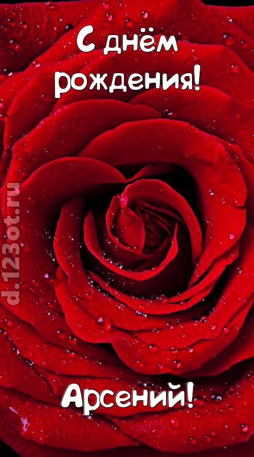 обольстительная открытка с днём рождения арсений, скачать онлайн бесплатно на iphone для вацап, поздравление арсений