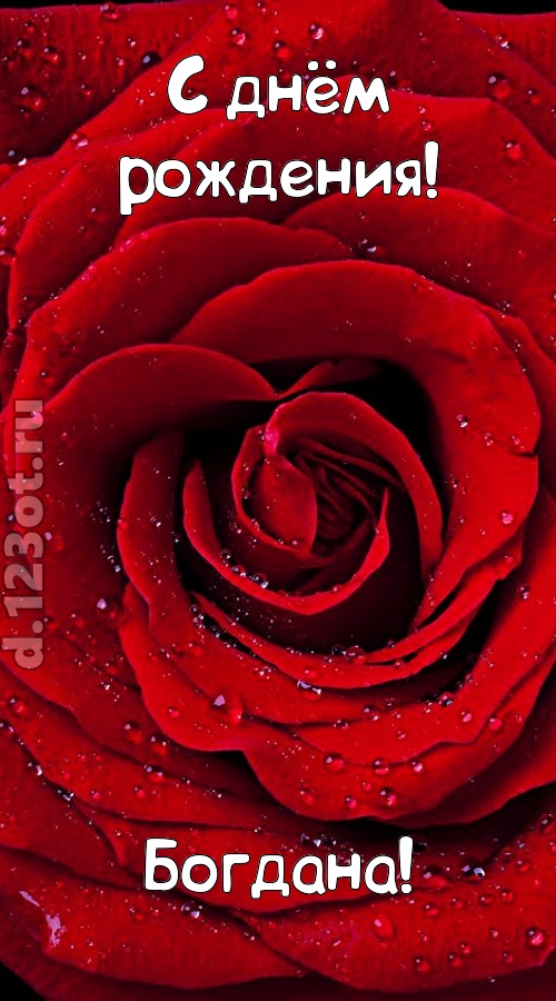 обольстительная открытка с днём рождения богдана, скачать онлайн бесплатно на iphone для вацап, поздравление богдана