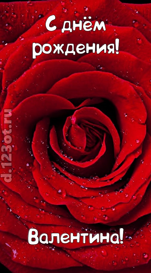 обольстительная открытка с днём рождения валентина, скачать онлайн бесплатно на iphone для вацап, поздравление валентина