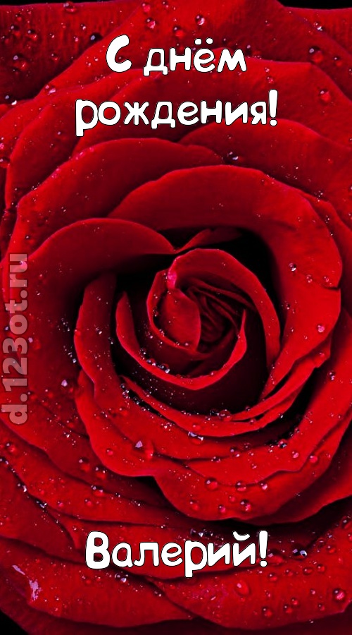 обольстительная открытка с днём рождения валерий, скачать онлайн бесплатно на iphone для вацап, поздравление валерий