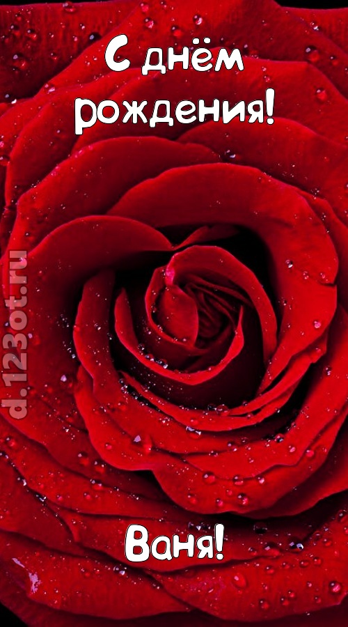 обольстительная открытка с днём рождения ваня, скачать онлайн бесплатно на iphone для вацап, поздравление ваня