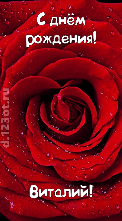 обольстительная открытка с днём рождения виталий, скачать онлайн бесплатно на iphone для вацап, поздравление виталий