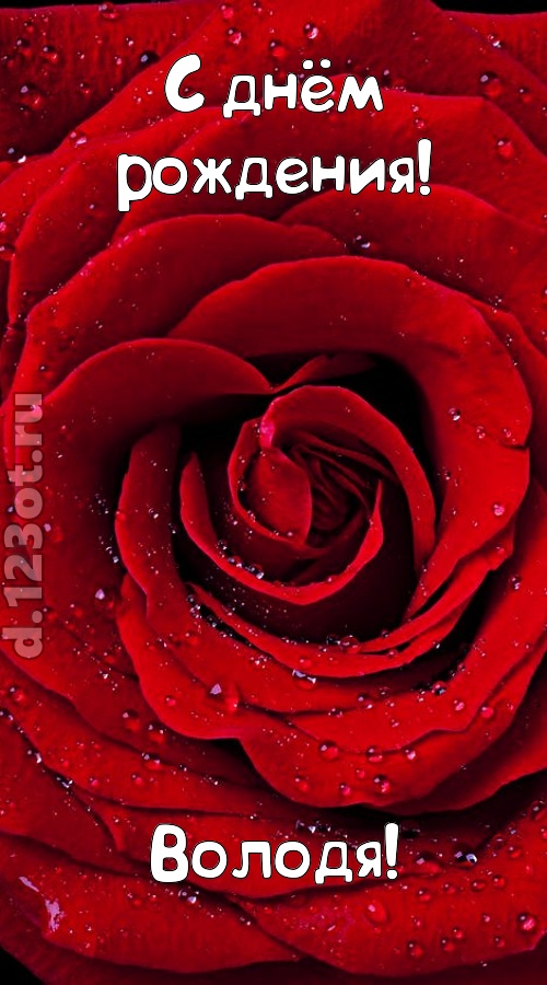 обольстительная открытка с днём рождения володя, скачать онлайн бесплатно на iphone для вацап, поздравление володя