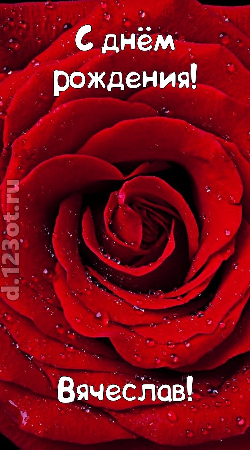 обольстительная открытка с днём рождения вячеслав, скачать онлайн бесплатно на iphone для вацап, поздравление вячеслав