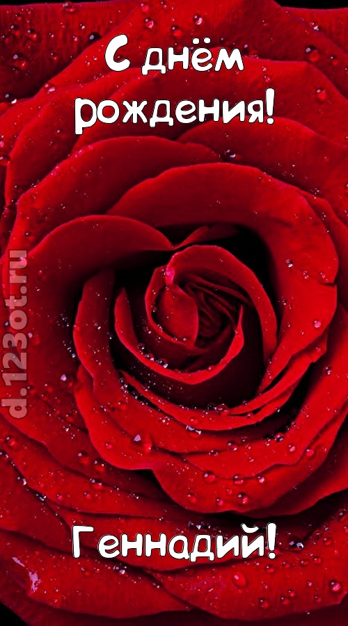 обольстительная открытка с днём рождения геннадий, скачать онлайн бесплатно на iphone для вацап, поздравление геннадий