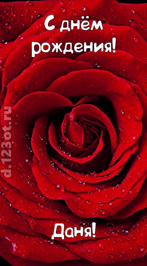 обольстительная открытка с днём рождения даня, скачать онлайн бесплатно на iphone для вацап, поздравление даня