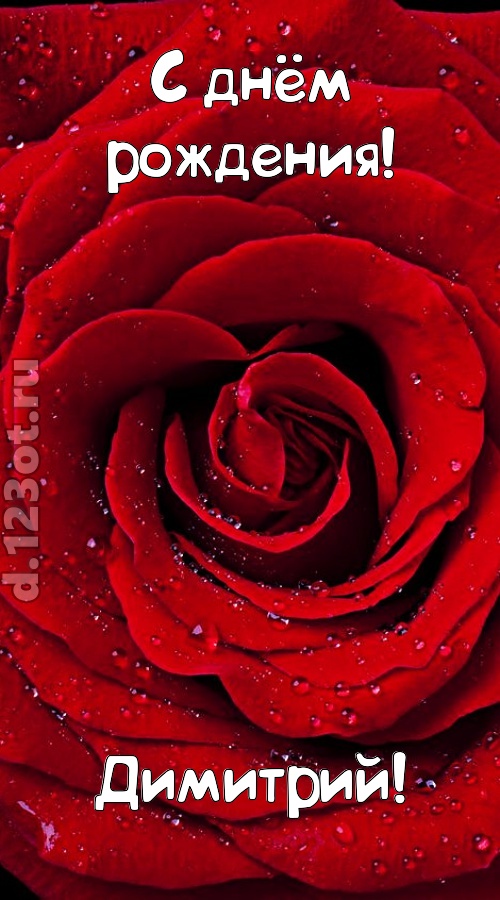 обольстительная открытка с днём рождения димитрий, скачать онлайн бесплатно на iphone для вацап, поздравление димитрий