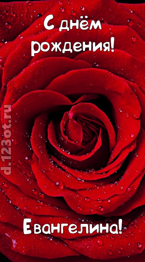 обольстительная открытка с днём рождения евангелина, скачать онлайн бесплатно на iphone для вацап, поздравление евангелина