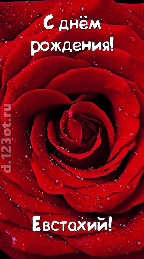 обольстительная открытка с днём рождения евстахий, скачать онлайн бесплатно на iphone для вацап, поздравление евстахий