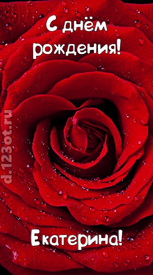 обольстительная открытка с днём рождения екатерина, скачать онлайн бесплатно на iphone для вацап, поздравление екатерина