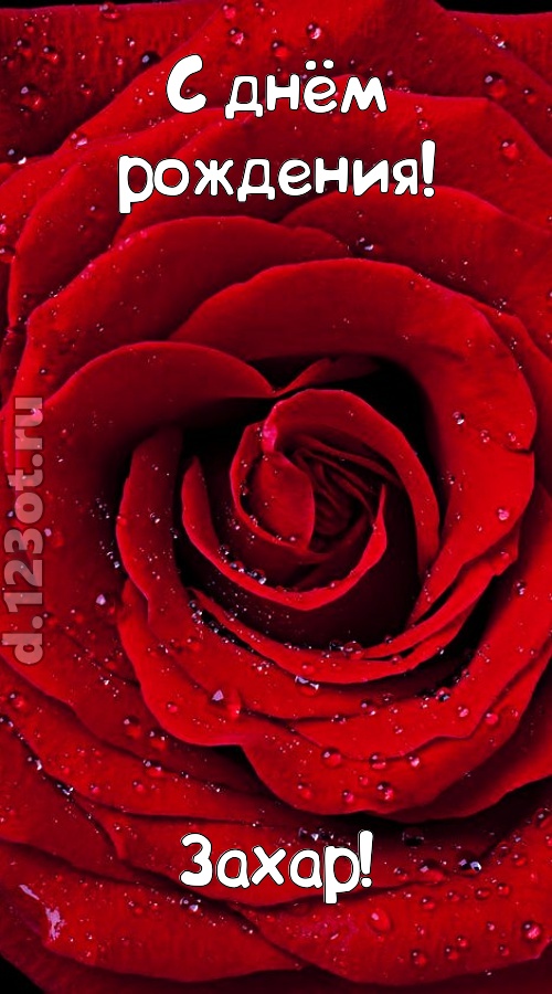 обольстительная открытка с днём рождения захар, скачать онлайн бесплатно на iphone для вацап, поздравление захар