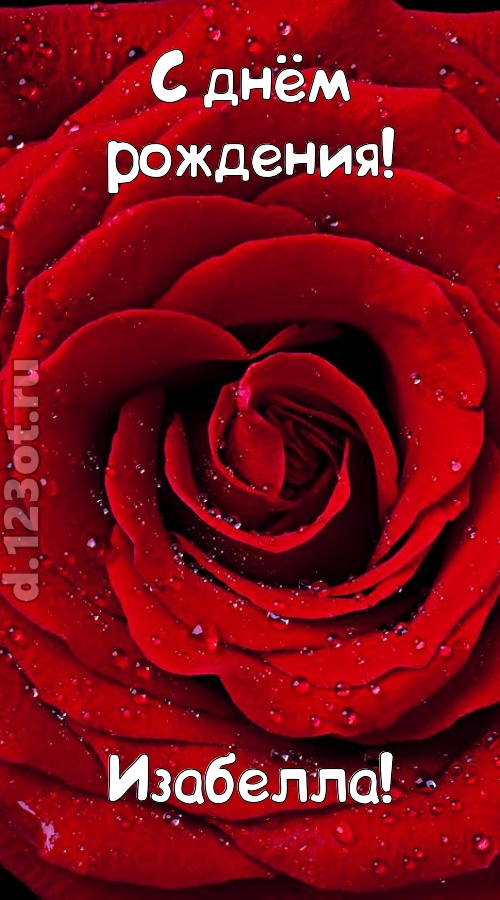 обольстительная открытка с днём рождения изабелла, скачать онлайн бесплатно на iphone для вацап, поздравление изабелла