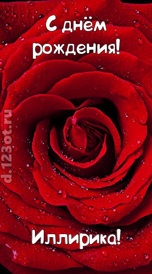 обольстительная открытка с днём рождения иллирика, скачать онлайн бесплатно на iphone для вацап, поздравление иллирика